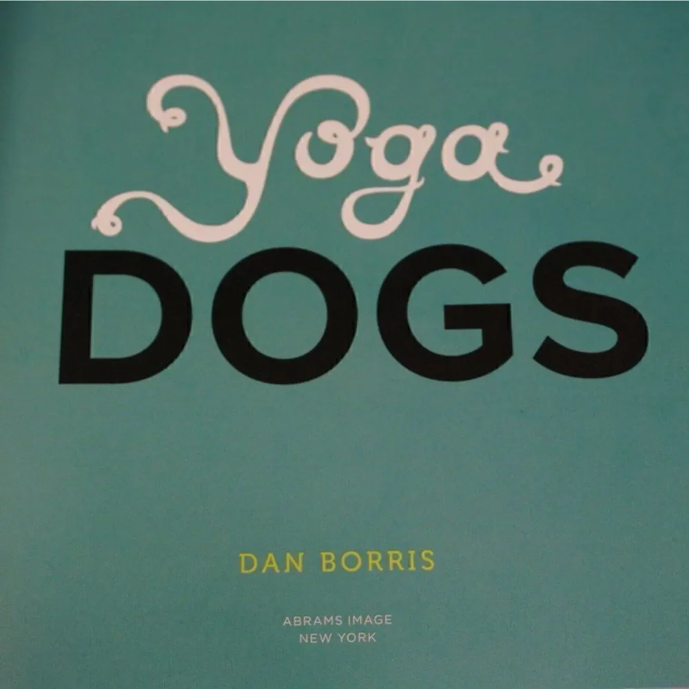 Yoga Dogs By Dan Borris 2011 Paper Back Dog Photography